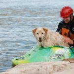 jonathan pranger Gallery