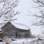 eugene sturtevant Gallery