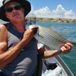 james engler Gallery