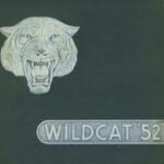 anthony pecoraro Gallery