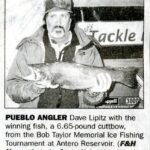 david lipitz Gallery