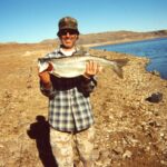 david lipitz Gallery