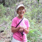 susanne wagner-allen Gallery