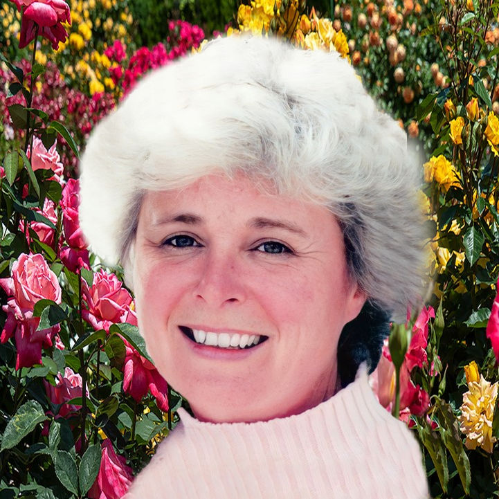 lynn faris