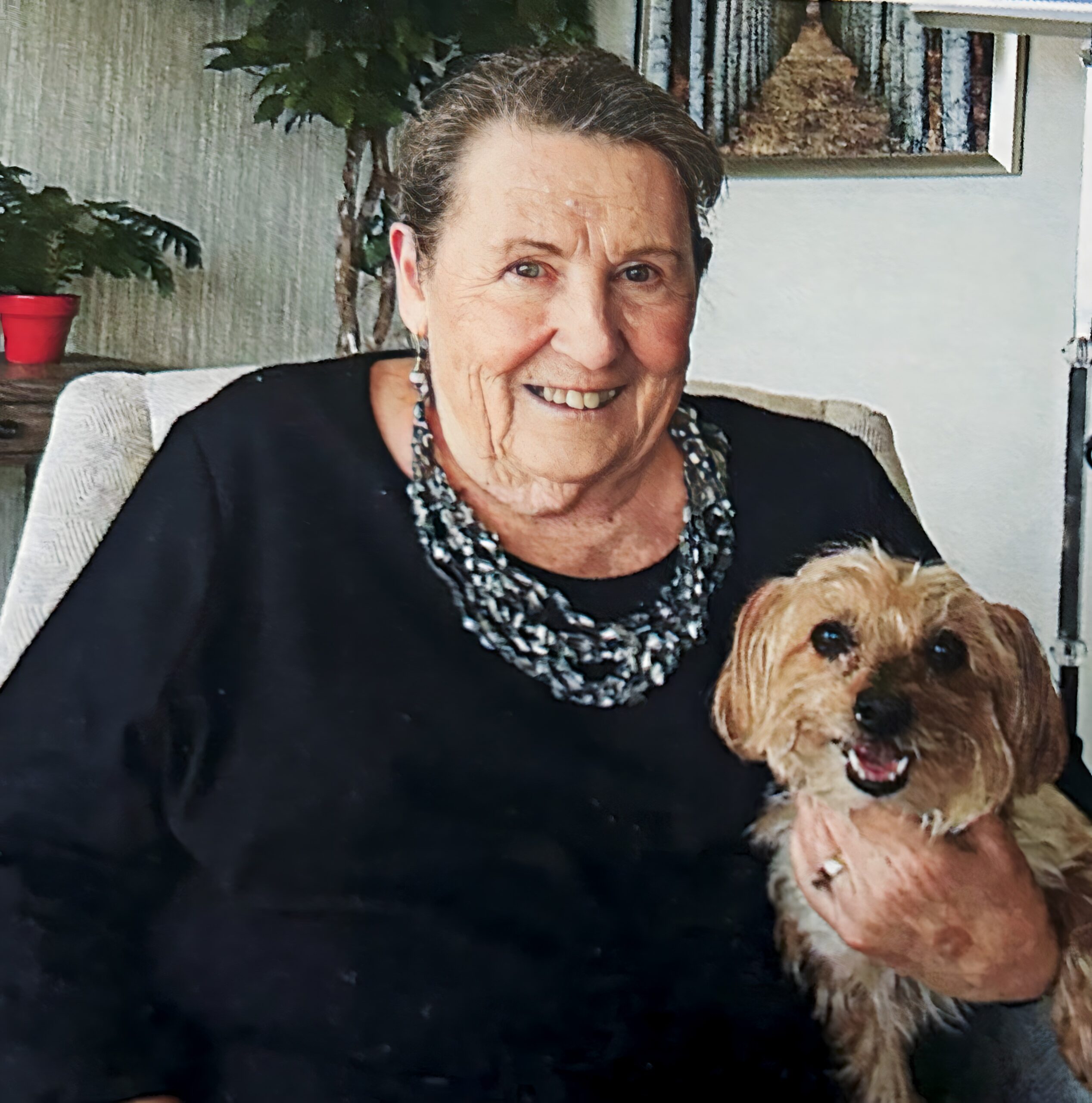 shirley schuster
