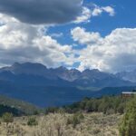 peggy meservey Gallery