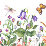 brenda  shepard Gallery