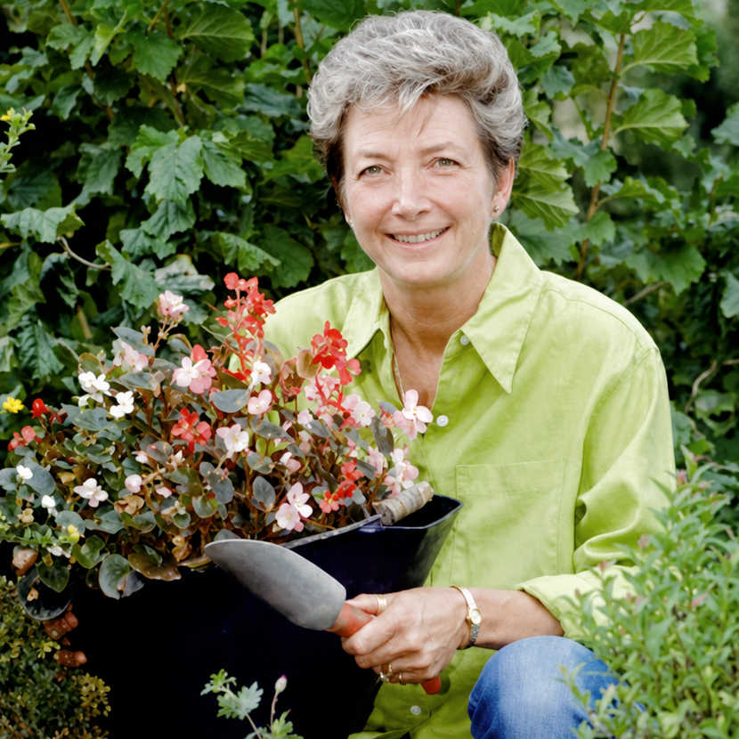 cheryl hindsley